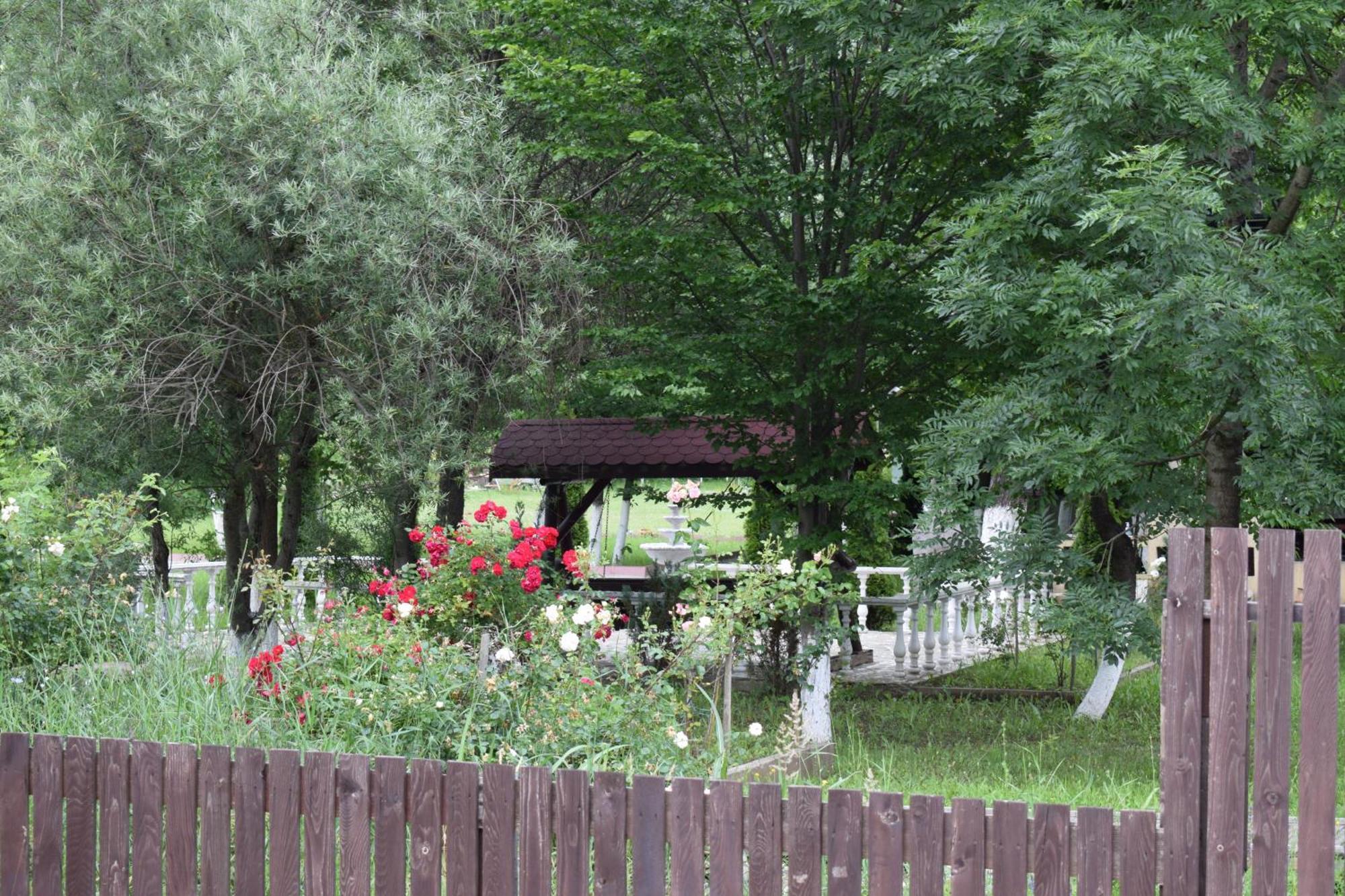 Pensiunea Arido 4*